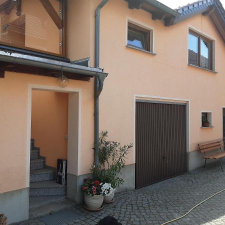 Ferienwohnung Auf Den Bauernhof Tauscha 外观 照片