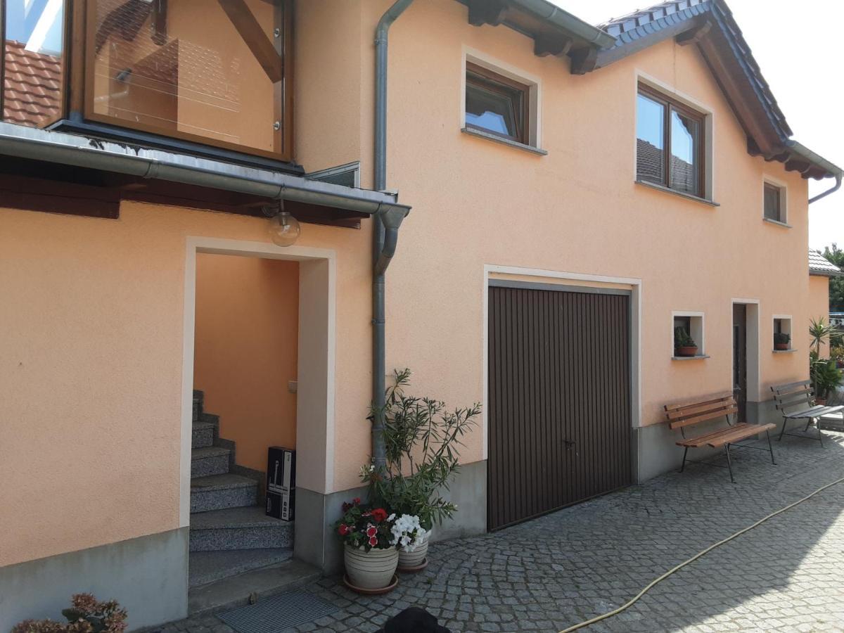 Ferienwohnung Auf Den Bauernhof Tauscha 外观 照片